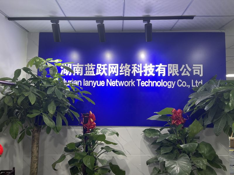 China Hunan Lanyue Network Technology Co., Ltd. Perfil da companhia